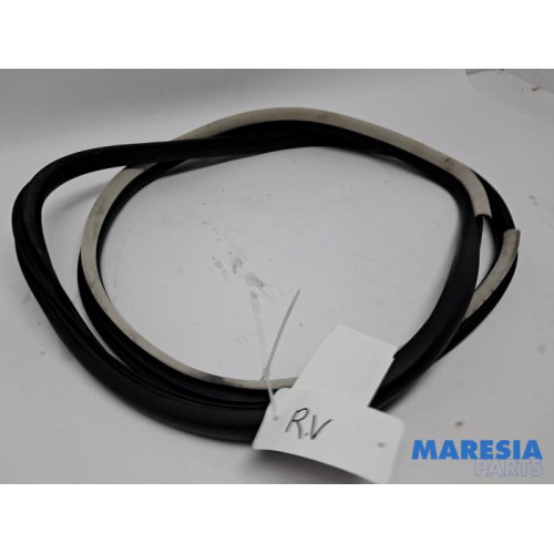 Renault - Espace - Front door seal 4-door, right