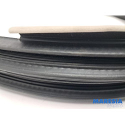 Renault - Espace - Portierrubber 4Deurs rechts-achter