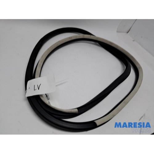Renault - Espace - Portierrubber 4Deurs links-voor