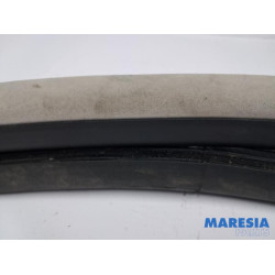Renault - Espace - Rear door seal 4-door, left