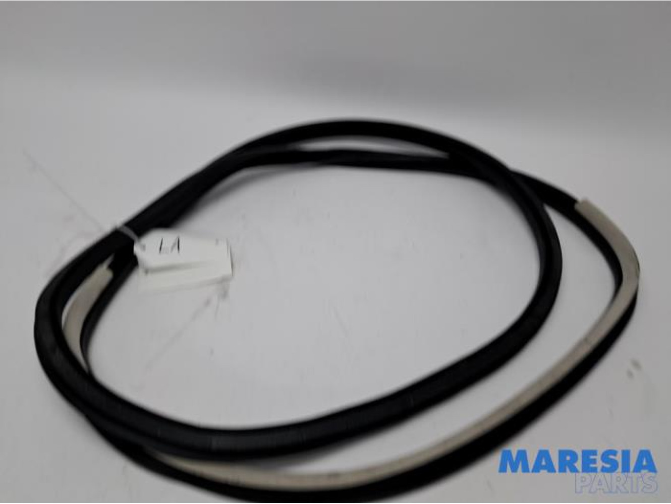 Renault - Espace - Rear door seal 4-door, left