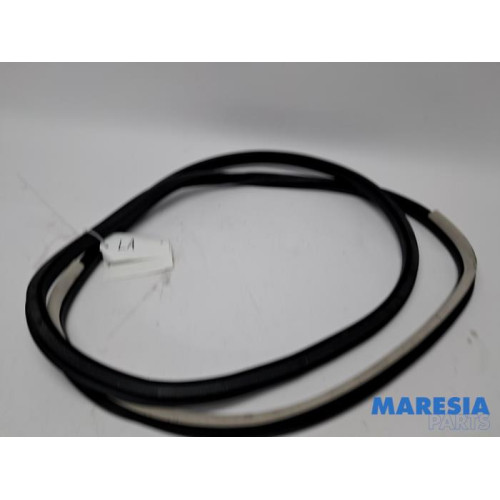 Renault - Espace - Rear door seal 4-door, left