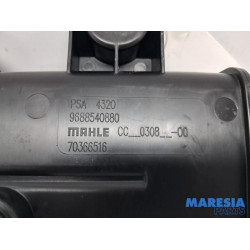 Peugeot - RCZ - Filtre carbone