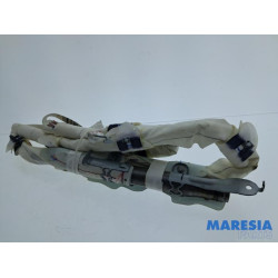 Renault - Espace - Airbag hemel links