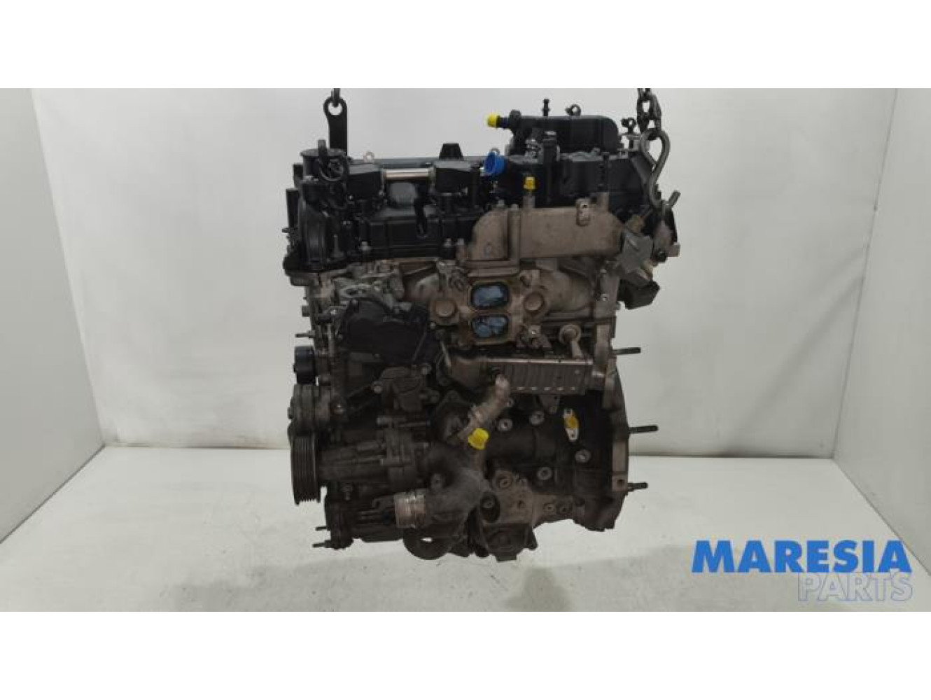 Alfa Romeo - Giulia - Engine