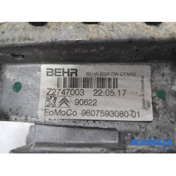 Peugeot - Expert - Valve RGE