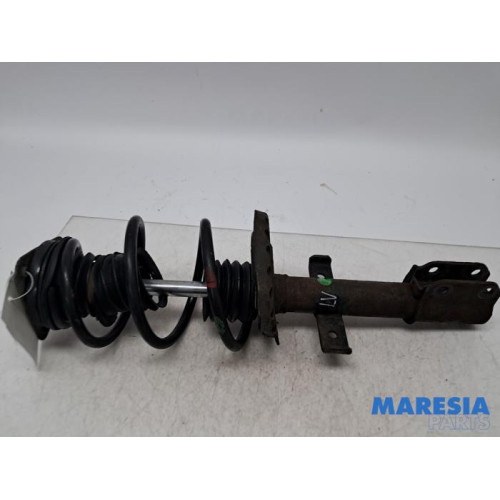 Renault - Zoe - Front shock absorber rod, left