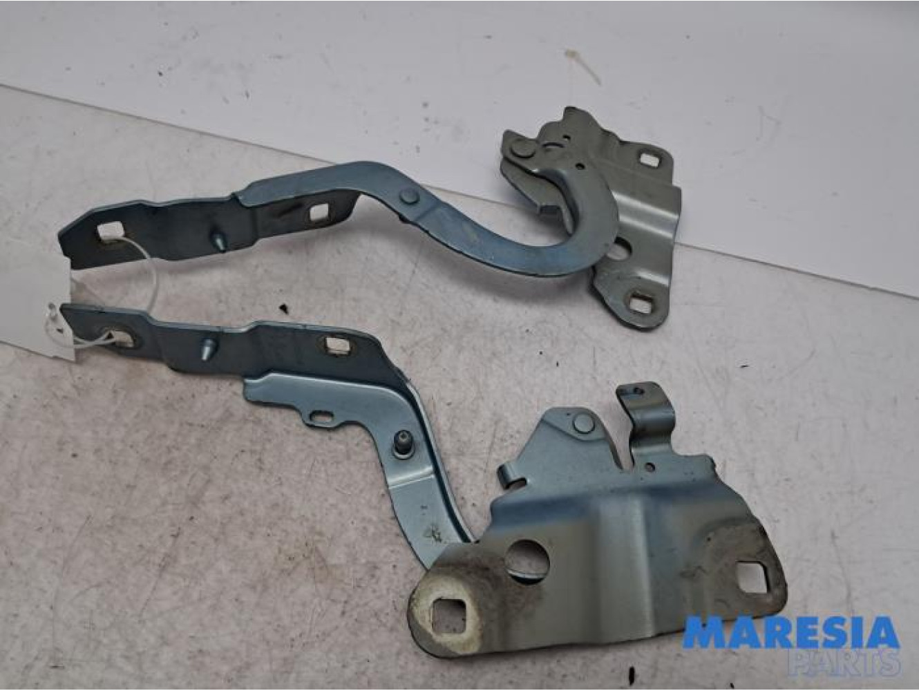 Renault - Zoe - Bonnet Hinge