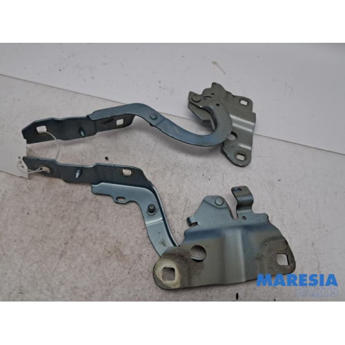Renault - Zoe - Bonnet Hinge