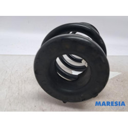 Alfa Romeo - Giulia - Rear coil spring