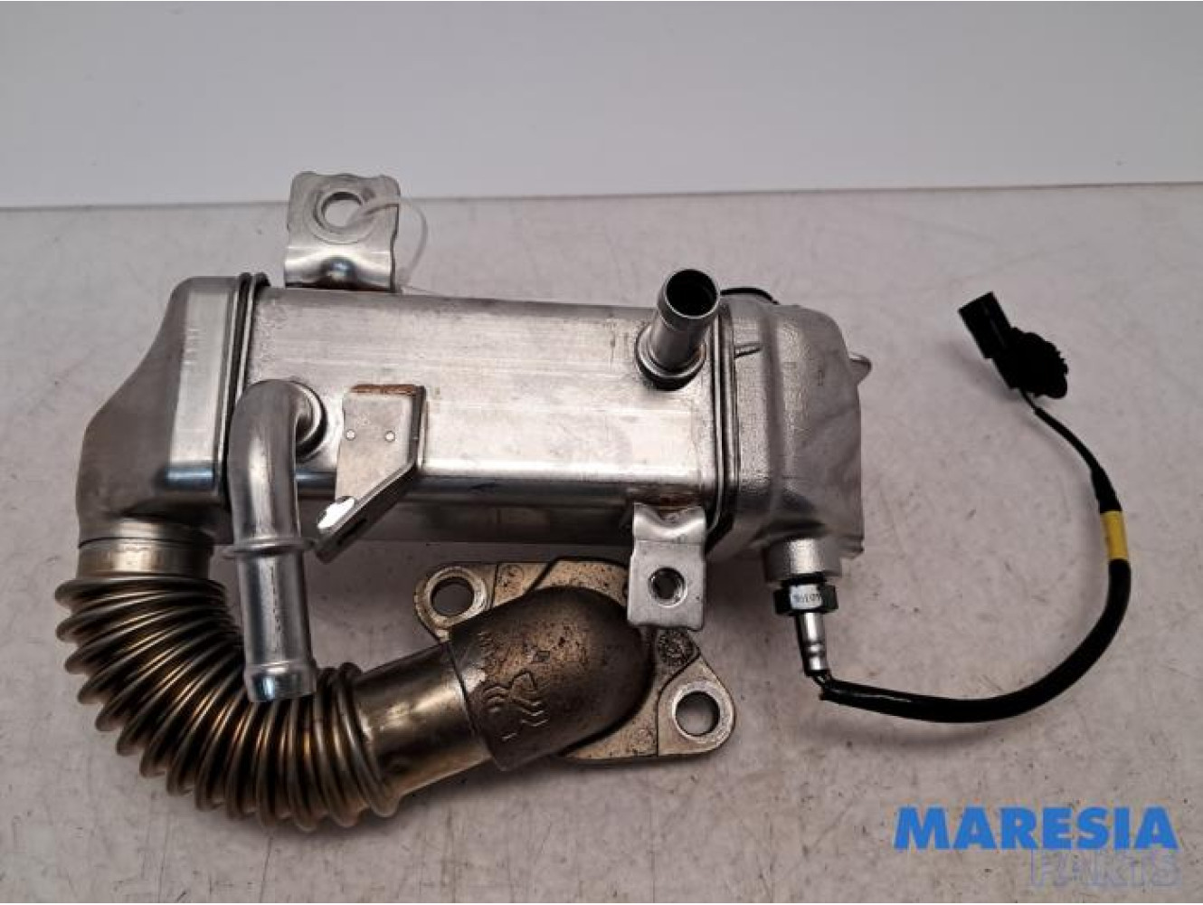 Renault - Trafic - EGR cooler