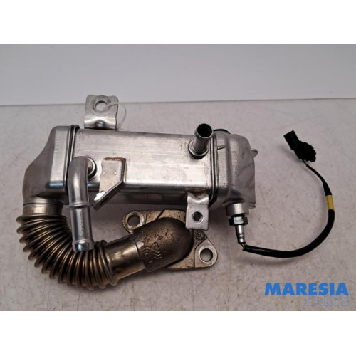 Renault - Trafic - EGR koeler