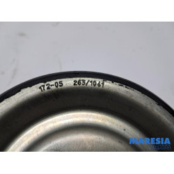 Citroen - C5 Aircross - Water pump pulley