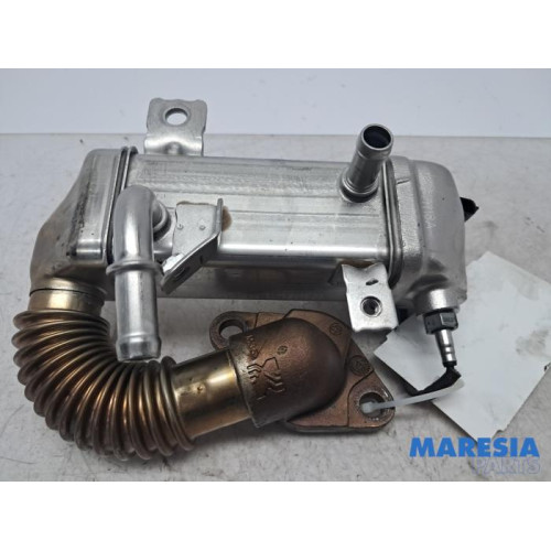 Renault - Trafic - EGR koeler
