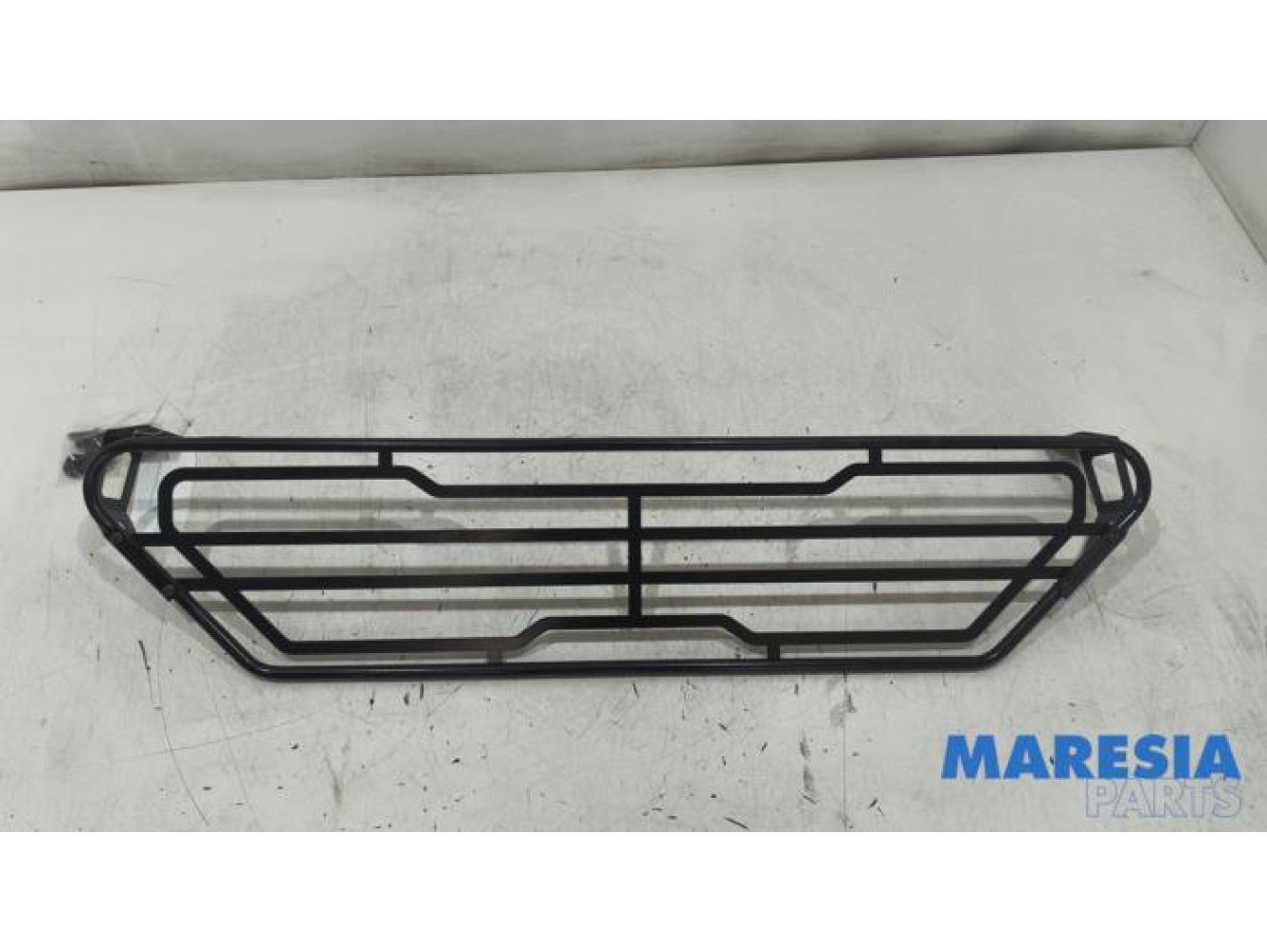 Renault - Talisman - Grille pare-chien