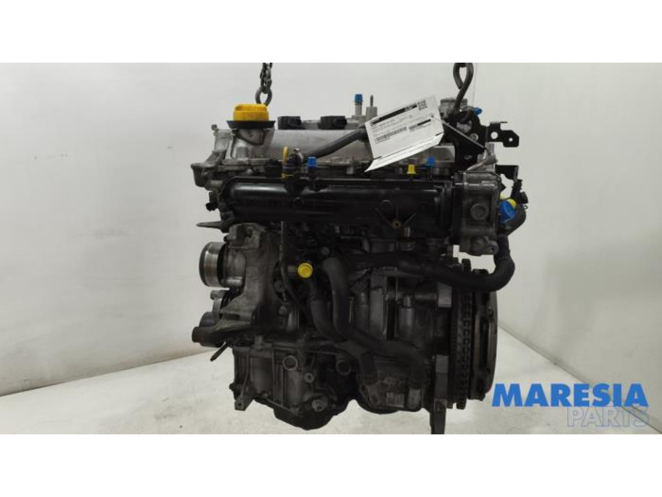 Renault - Megane - Motor
