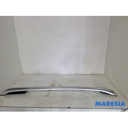 Citroen - C5 - Dachreling Set