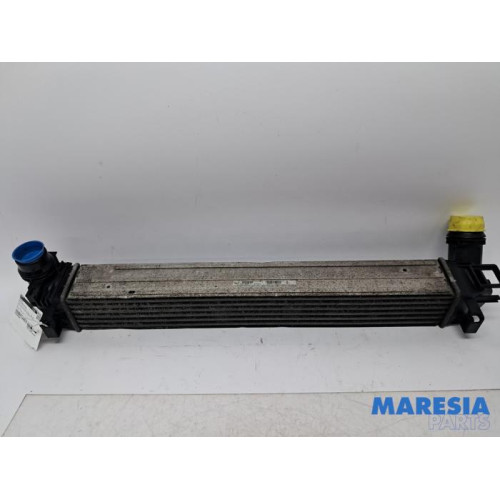 Renault - Megane - Intercooler
