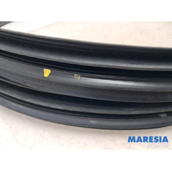 Renault - Megane - Portierrubber 4Deurs links-voor