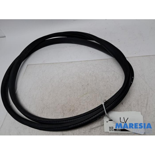 Renault - Megane - Portierrubber 4Deurs links-voor