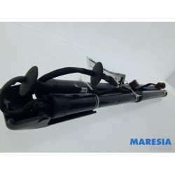 Renault - Talisman - Set of tailgate gas struts