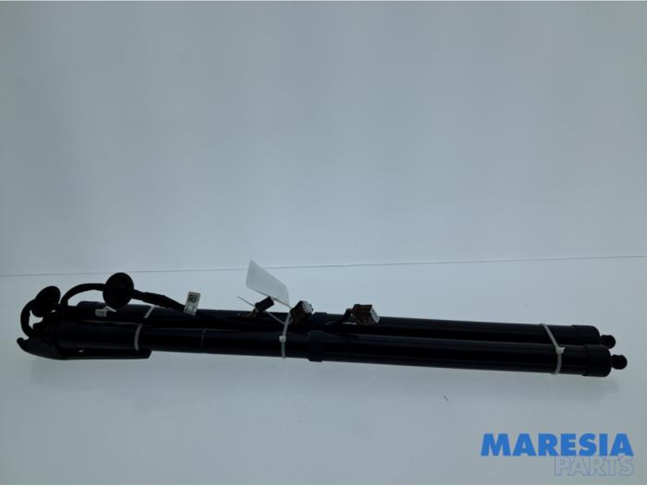 Renault - Talisman - Set of tailgate gas struts