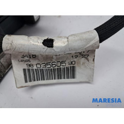 Citroen - Jumpy - Accu controle module