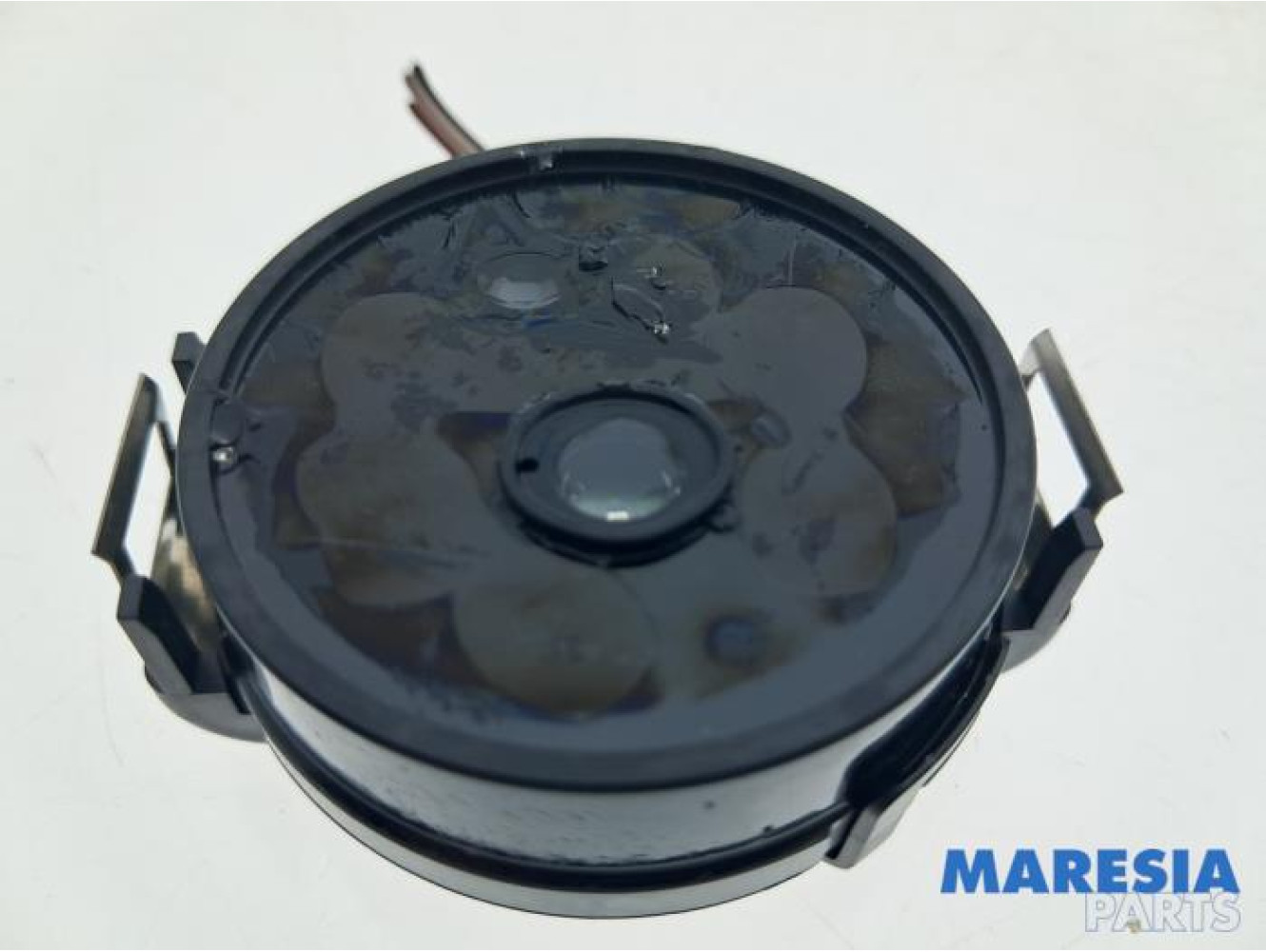 Renault - Clio - Regensensor