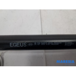 Opel - Vivaro - Set of tailgate gas struts