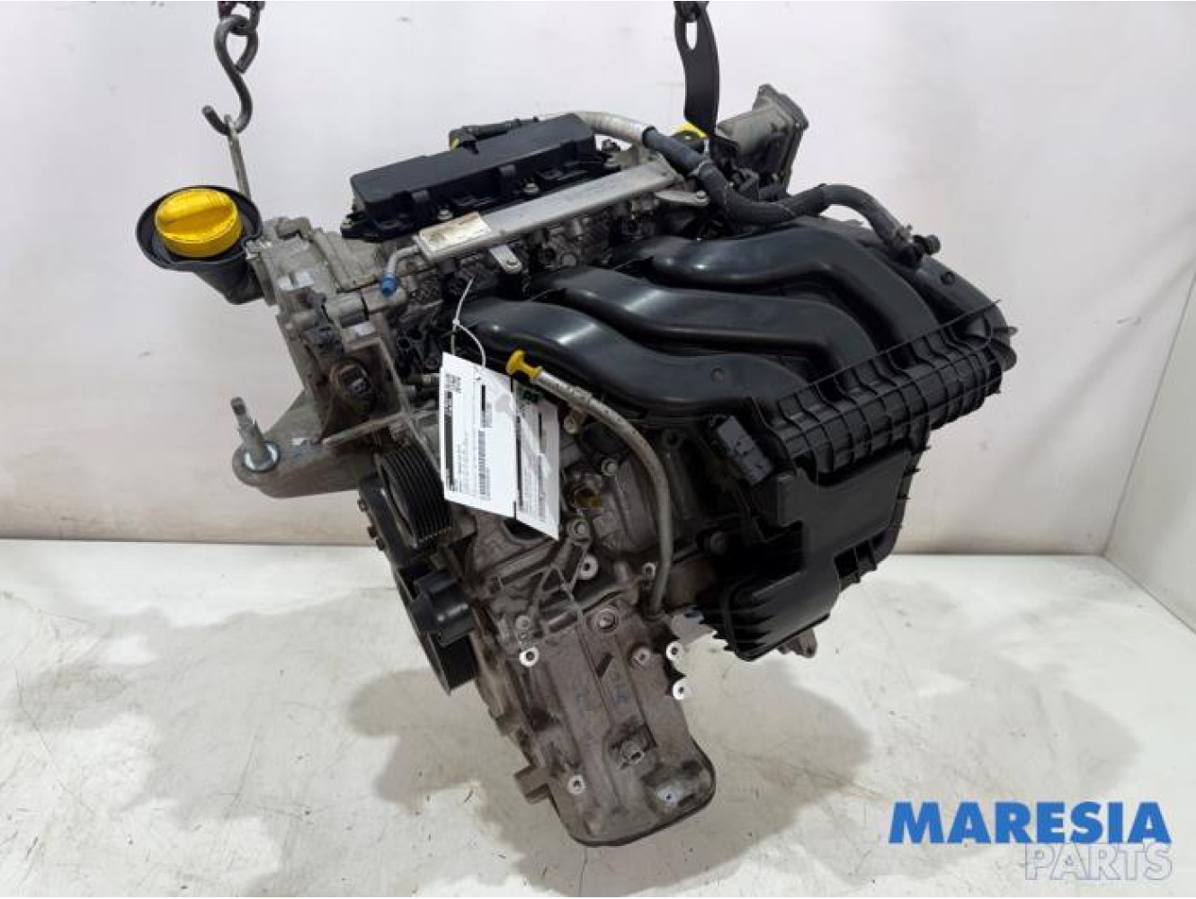 Renault - Twingo - Motor