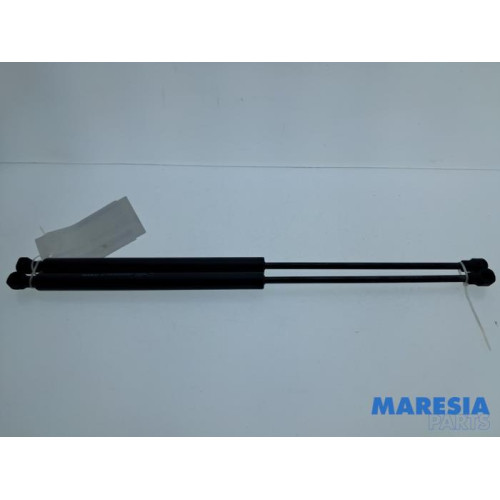Renault - Twingo - Set Gasdempers Achterklep