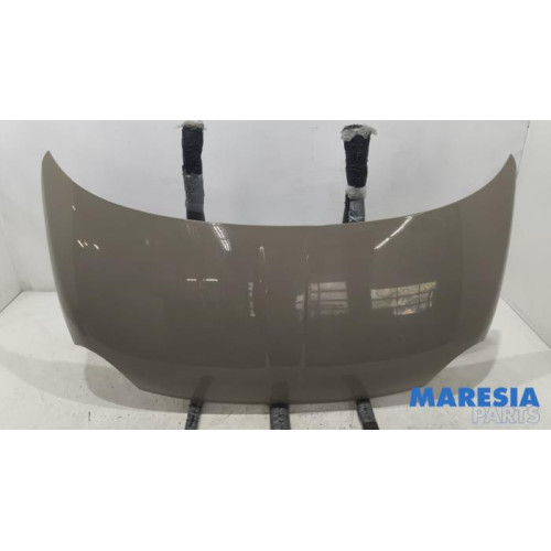 Fiat - 500 - Bonnet