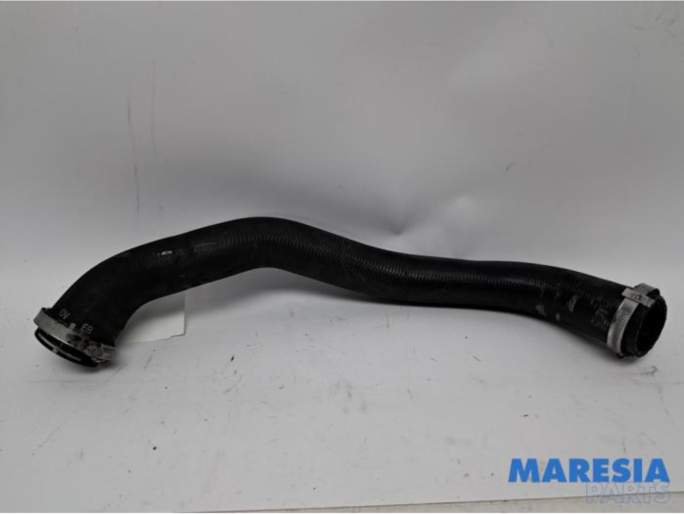 Citroen - Berlingo - Intercooler hose