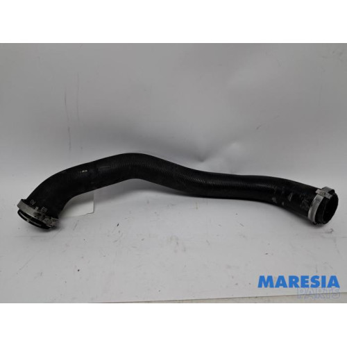 Citroen - Berlingo - Intercooler hose
