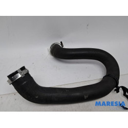 Citroen - Berlingo - Intercooler hose