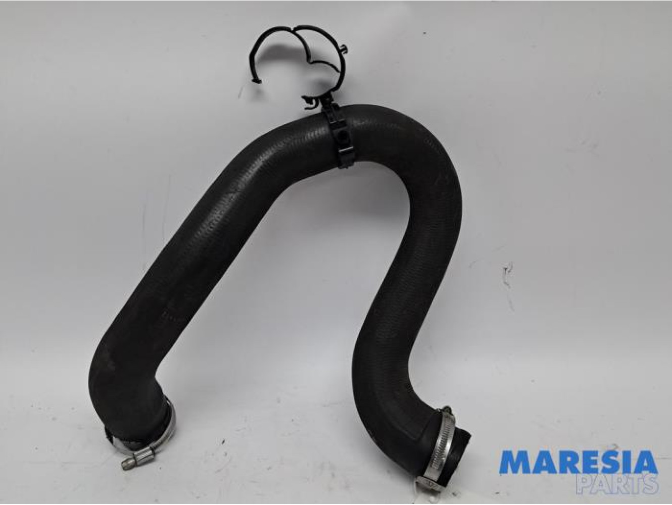 Citroen - Berlingo - Intercooler hose