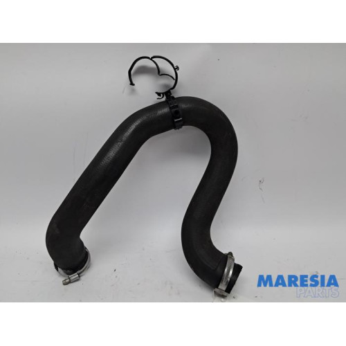Citroen - Berlingo - Intercooler hose