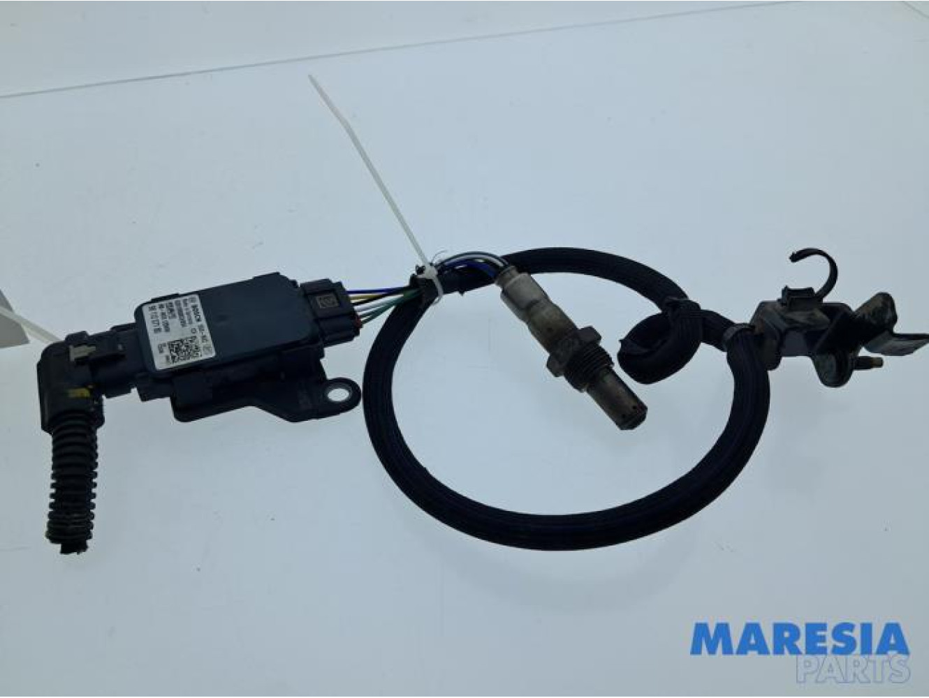 Citroen - Berlingo - Nox sensor