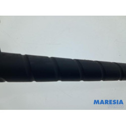 Citroen - Berlingo - Antenna