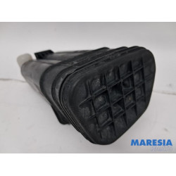 Renault - Clio - Carbon filter