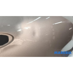 Renault - Captur - Front door 4-door, right