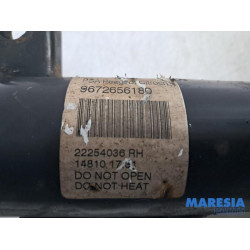 Citroen - DS3 - Front shock absorber rod, right