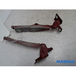 Citroen - DS3 - Bonnet Hinge