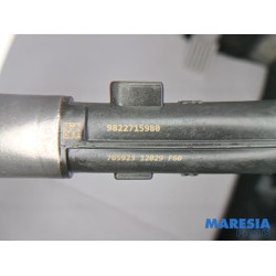 Peugeot - 308 - Injector (petrol injection)