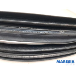 Renault - Twingo - Portierrubber 4Deurs links-voor