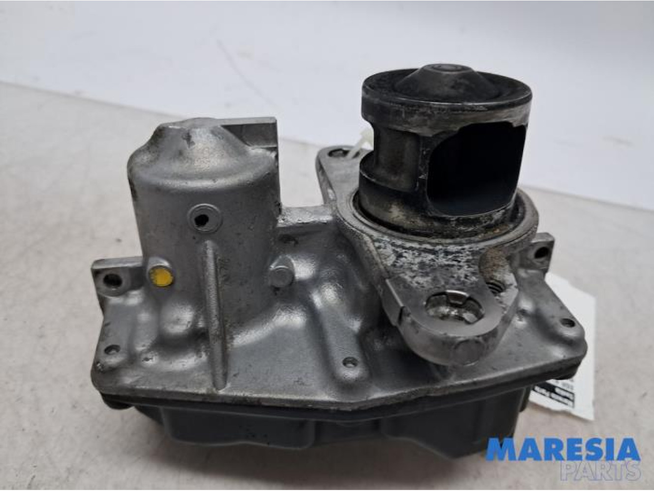 Renault - Trafic - EGR valve