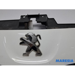 Peugeot - Expert - Grille