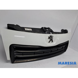 Peugeot - Expert - Grille