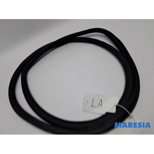 Opel - Crossland X - Rear door seal 4-door, left