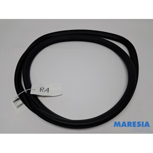 Opel - Crossland X - Rear door seal 4-door, right